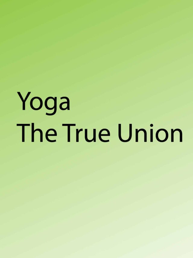 Yoga |  The True Union